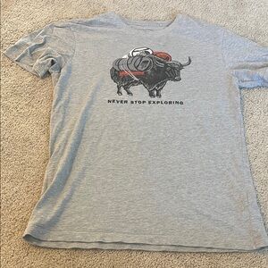 The North Face Gray T-Shirt